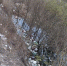 14302457_10207632787360155_695186123_n - Gatchinka.Ru