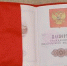 Паспорт - Gatchinka.Ru