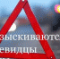 Очевидцы ДТП - Gatchinka.Ru
