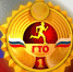 Что такое комплекс ГТО - Гатчинский район