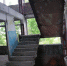 dav - Gatchinka.Ru
