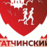 гатчинский полумарафон1 - Gatchinka.Ru
