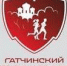 VIII Гатчинский полумарафон - Гатчинский район