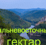 75 жителей Ленобласти захотели уехать на Дальний Восток - Гатчинский район