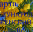 Поздравления с Международным женским днем от главы главы Гатчинского района, главы администрации, главы города Гатчины - Гатчинский район