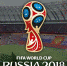 Открыт въезд в Россию по FAN ID для иностранных зрителей ЧМ-2018 - Гатчинский район