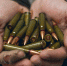 Боеприпасы изъяты, владельцы – сидят - Гатчинская правда
