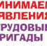 Дворец молодежи начинает прием документов в трудовые бригады - Gatchina24.Ru