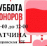 Донорская суббота в Гатчине - Гатчинская правда