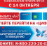 Гатчинский район готовится перейти на «цифру» - Гатчинский район