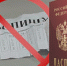 «Фиктивная постановка на учет иностранного гражданина или лица без гражданства по месту пребывания в Российской Федерации»  ст. 322.3 УК РФ - Гатчинский район