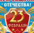 Гатчинский район празднует День защитника Отечества - Гатчинская правда