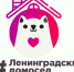 #Ленинградскийдомосед поможет не скучать дома - Гатчинская правда