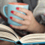 Десять захватывающих книг для весеннего чтения - Гатчинская правда