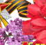 44b63e918e05a4dc4dab0d13839c326a - Gatchinka.Ru