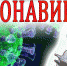 Более 200.000 масок получат малообеспеченные и многодетные семьи Гатчинского района - Гатчинский район