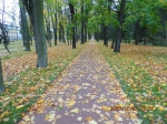 Липовая аллея