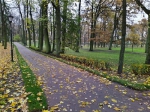 Ботанический сад