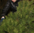 c07bf8df591127b09231f93d1413b627aa41038b - Gatchinka.Ru