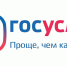 Новые сервисы на портале Госуслуг бьют рекорды - Гатчинская правда