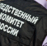 Задержаны мошенники, продававшие пенсионерам «Озон» - Гатчинская правда