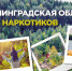 Не останьтесь в стороне! - Гатчинская правда