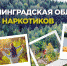Не останьтесь в стороне! - Гатчинская служба новостей