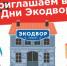 Гатчина приглашает на праздник «Экодвор» и дарит подарки - Gatchina.Life