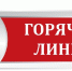 В День эколога Уполномоченный примет сигналы о незаконных свалках - Гатчинская служба новостей