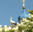 Фото Павел Глазков - Gatchina.Life