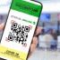 COVID–19: QR-коды для вакцинированных и переболевших - Гатчинская служба новостей