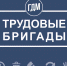 Гатчинский Дворец молодежи открыл набор в трудовые бригады на август - Гатчинская служба новостей