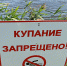 Соблюдайте правила поведения на воде! - Гатчинская правда