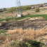 630x465_20210727_hesvnnaft6vz1rzl2e67 - Gatchinka.Ru