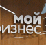 Гатчинские бизнесмены активно получают «портфели» - Гатчинская правда