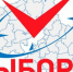 Выборы - Gatchinka.Ru