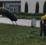 d180bf53efa1753d77b386e0a9433a41 - Gatchinka.Ru