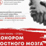 Спаси жизнь – стань донором! - Гатчинская правда