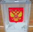По уважительной причине можно проголосовать на дому - Гатчинская служба новостей