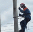 Об отключении света в понедельник информирует «Ленэнерго» - Гатчинская служба новостей