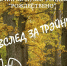 Музей-усадьба - Гатчинская служба новостей
