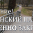 Парки закрыты: штормовое предупреждение! - Гатчинская служба новостей