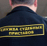 Более 300 млн рублей взыскали приставы Ленобласти с должников по алиментам - Гатчинская служба новостей