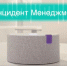 «Алиса» собирает обращения жителей - Гатчинская служба новостей
