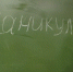 Зимние каникулы в Ленинградской области: даты обозначены - Гатчинская правда