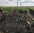 Ленинградские поисковики восстановили более двухсот имен - Гатчинская правда