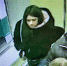 Студентка рассказала, почему пыталась взорвать банкомат в Гатчинском районе (фото) - Gatchina.Life