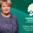 "Парковое агентство": миссия выполнима - Гатчинская служба новостей