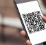 Как получить QR-код: требований к уровню антител не устанавливается - Gatchina.Life