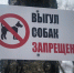 Убрать за  питомцем: забота и обязанность - Гатчинская служба новостей